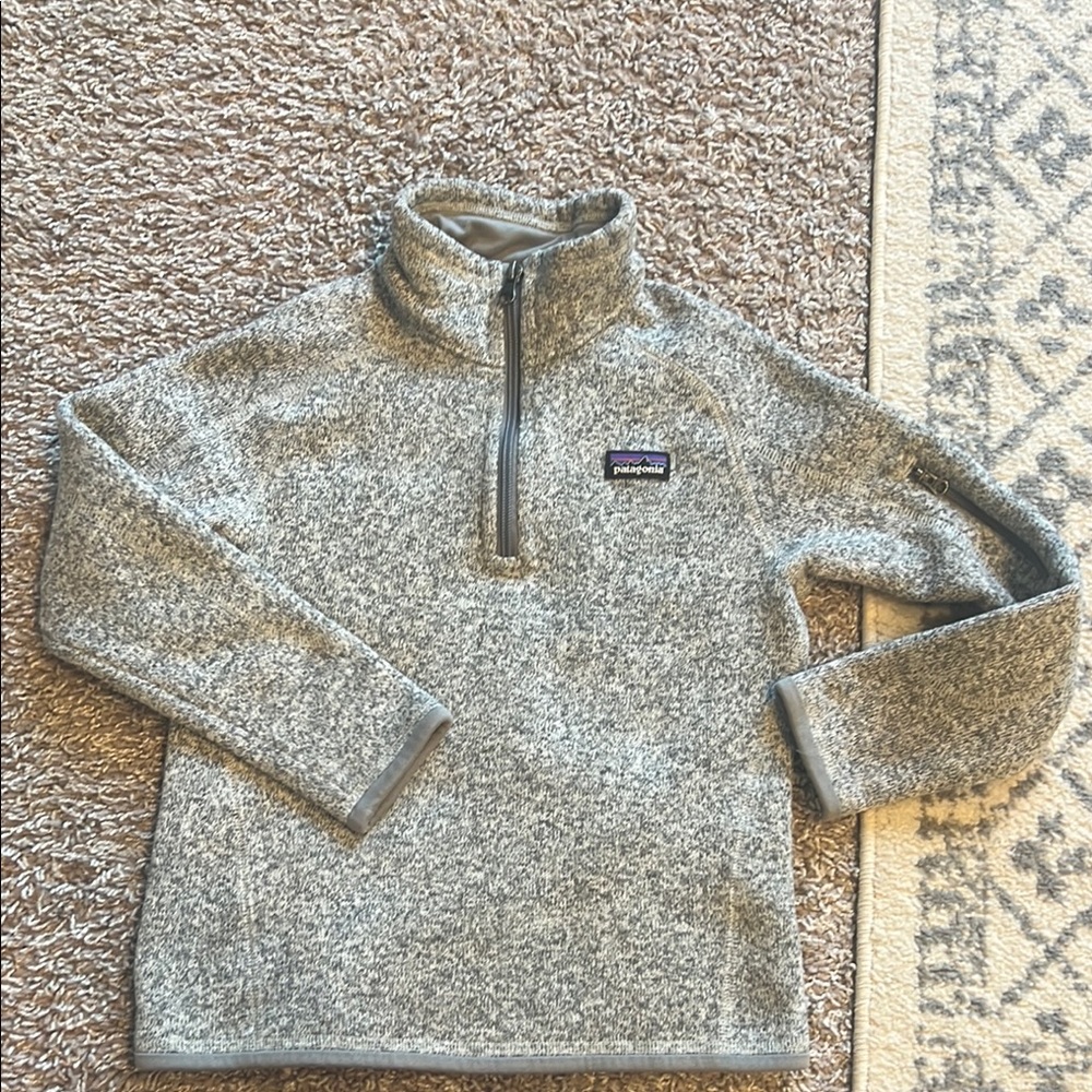 Patagonia Gray Fleece Pullover